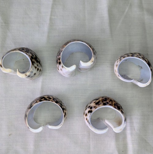 Set of 5 Vintage Tiger Cowrie Sea Shell Napkin Ring Holders Nautical Table scape - Picture 3 of 11