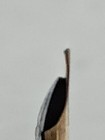 Bild 8 von 16