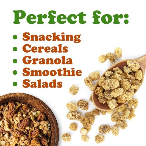 Food to Live Organic Dried White Mulberries, 10 Pounds - Non-GMO, Unsulfured - Picture 6 of 7