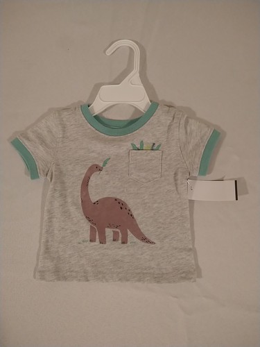 Jumping Beans Jungen Shirt Größe 3 Monate grau T-Shirt Dinosaurier neu mit Etikett - Bild 1 von 3