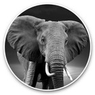 2 x Vinyl Stickers 25cm (bw) - Indian Elephant African Wilderness  #37007