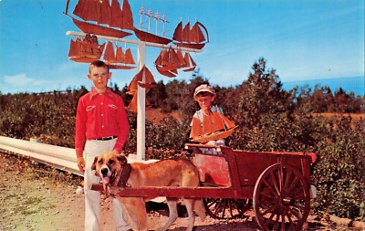 Gaspe Nord Quebec Ca ~ Gaspesian Children-Dog Cart Selling Boote Postkarte 1960s