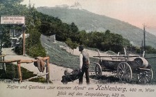  Kahlenburg Vienna Austria Postcard Early 1900s Rare Hotel Cafe Inn Iron Hand 