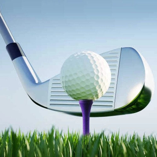 Professional 2 1/8 Deluxe Wood Golf Tees 100pcs Long Wood Purple New - Picture 4 of 5