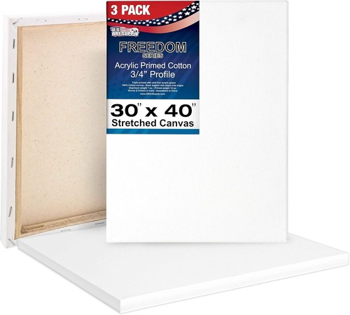 3er Pack US Art Supply 30" x 40" Acryl grundiert Baumwolle Ente gespannte Leinwand - Bild 2 von 2