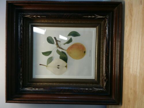 Pair Antique EASTLAKE Victorian Frame 1860s with Fruit Prints Maple Tiger - Picture 2 of 12
