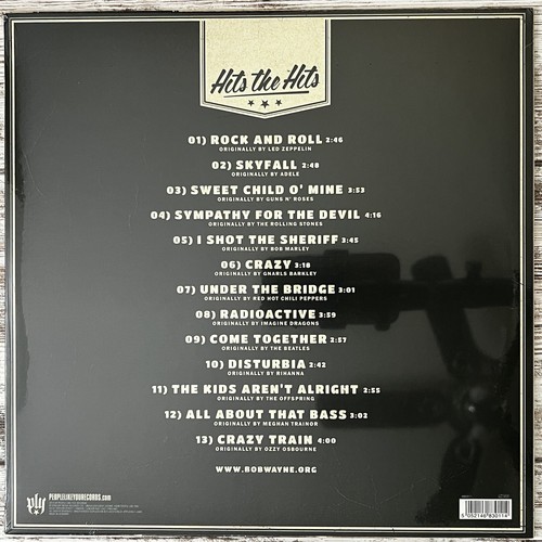 Hits The Hits By Bob Wayne (Record, 2015) - Picture 3 of 4