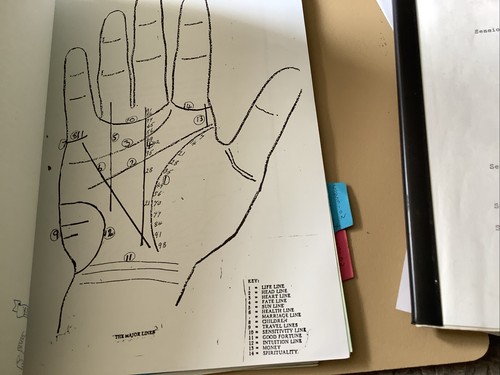 Seltener Vintage CHIROLOGIE Kurs im Ordner Handanalyse Palmistry - Bild 10 von 18