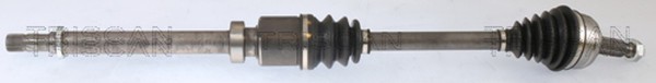 Triscan Antriebswelle 8540 28517 FüR Renault ScÉNic 3 JZ0 Megane DZ0 KZ0 BZ0 CC-image