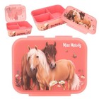 Depesche Miss Melody Flowers 12895 Lunch Box in Dusky Pink with Horse Motif and 