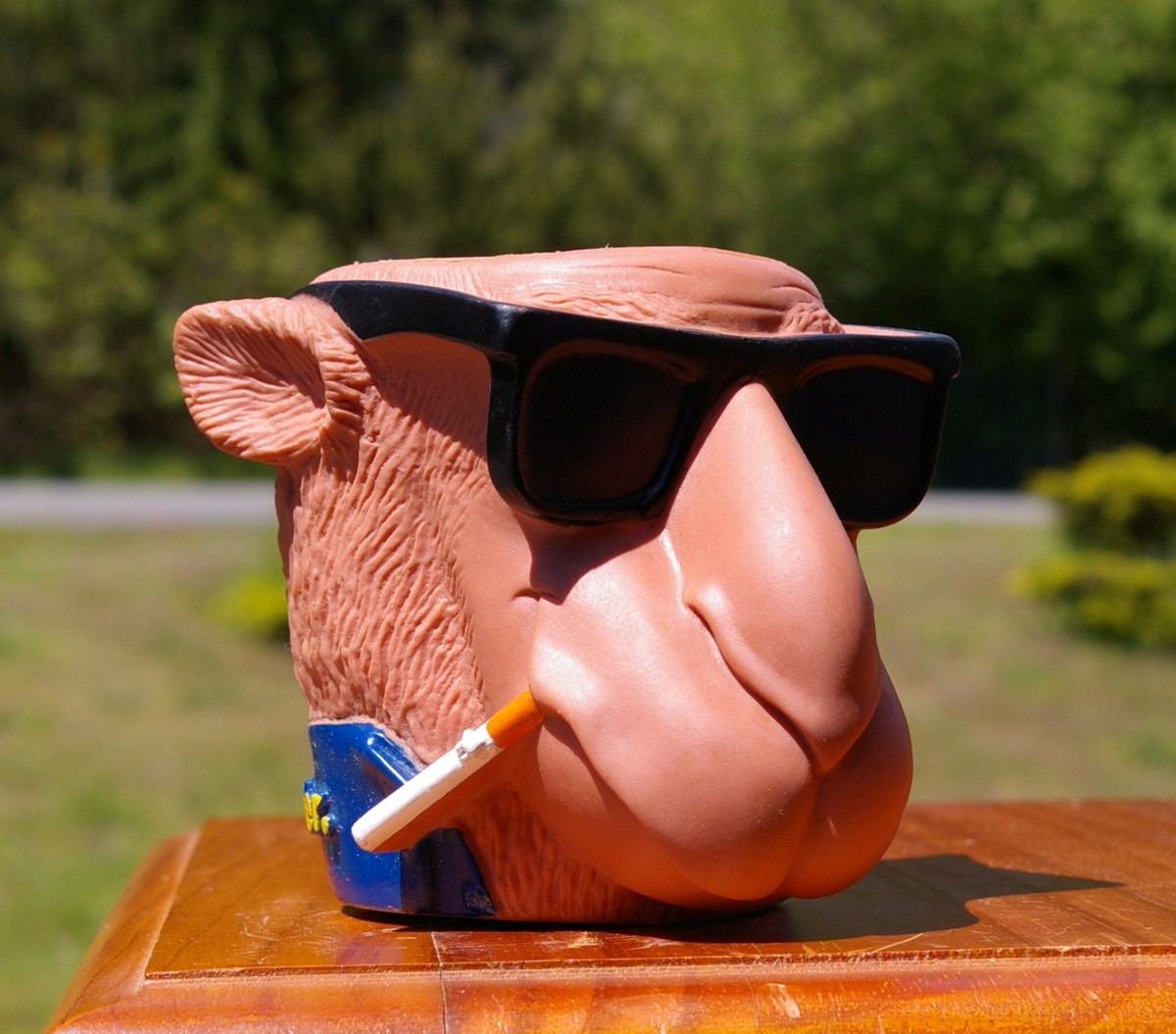 Camel Cigarettes Smooth Character 1991 Barton Kool Buddies Beer