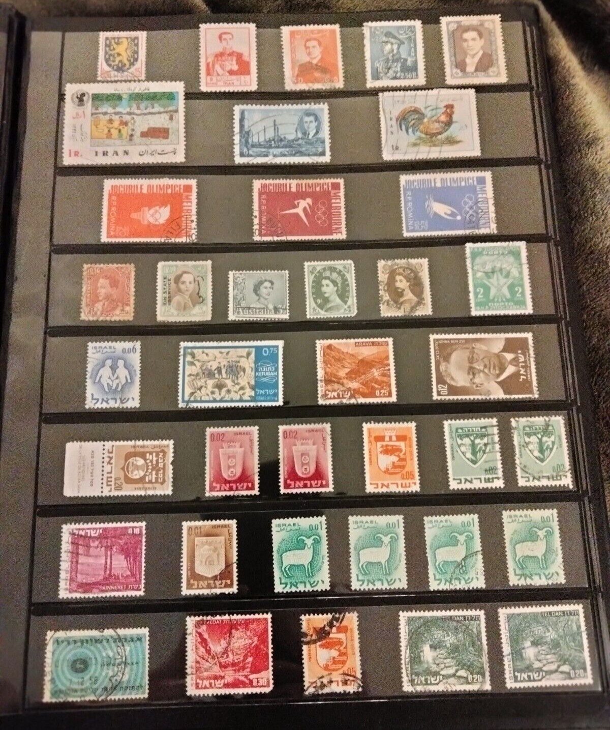 Picture 7 of 14