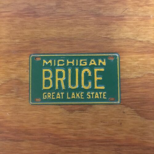 MICHIGAN GRAN ESTADO DEL LAGO CON NOMBRE EN BICICLETA PLACA ETIQUETA DE METAL - Imagen 6 de 28