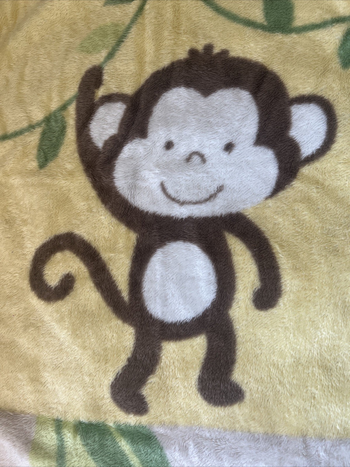 Picture 5 of 6
