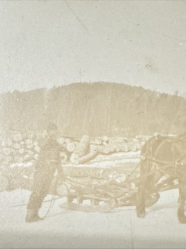 1890s Snow Scene Horses Logging Loggers Mountain Vtg 1880s Cabinet Card Photo - Picture 4 of 10