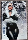 AMAZING SPIDER-MAN #5 Signed Mike Mayhew Virgin Variant Black Cat COA