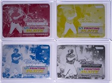 2025 Leaf Vivid Emmanuel Rodriguez Thermodynamics Printing Plate 1/1 Set