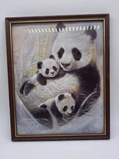 Ruane Manning Framed Panda Mother and Cubs Print 10.5" x 8.5"