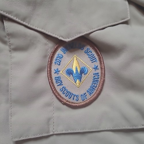 Youth Large Webelos Boy Scouts of America Uniform Shirt 194 Oregon Cascades 2010 - Picture 7 of 19