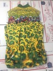 Bild 8 von 12