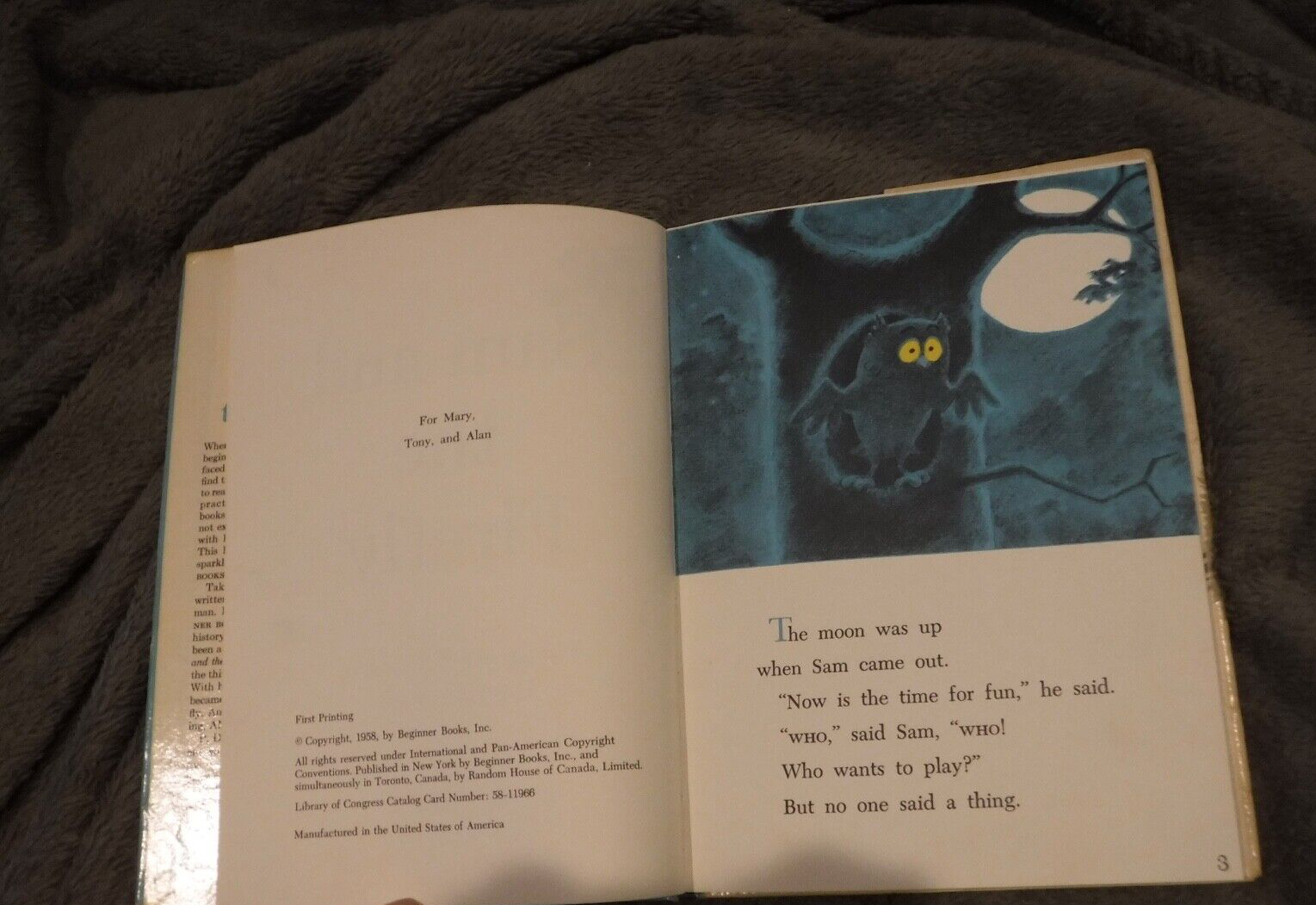 Picture 4 of 11