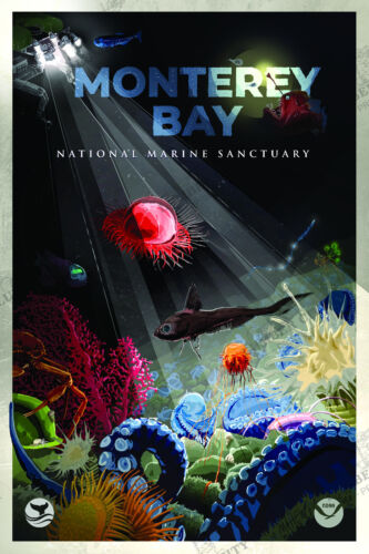 Choose Any National Marine Sanctuary System Posters NOAA Oceanic Prints - Picture 11 of 16