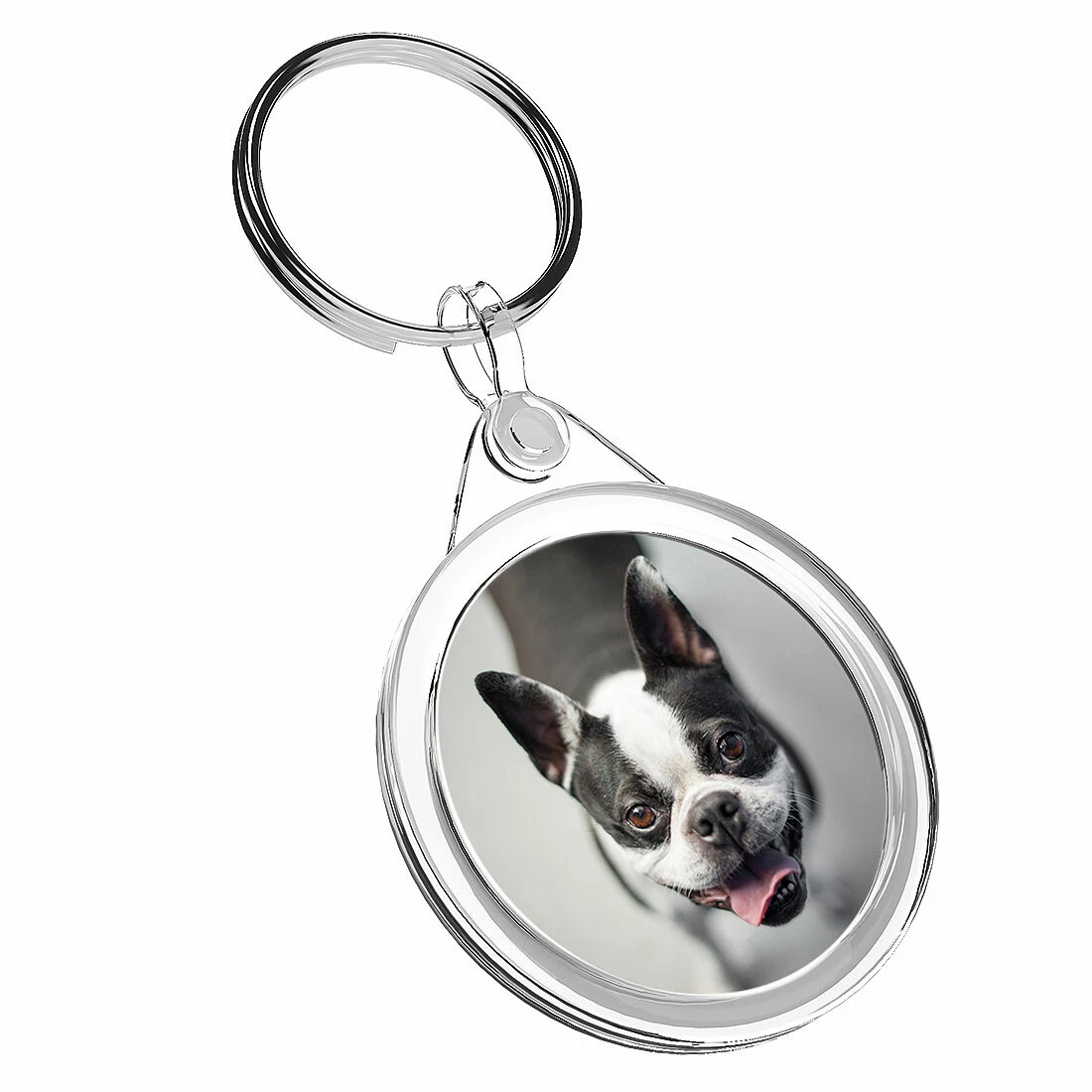 Boston hot sale terrier keyring