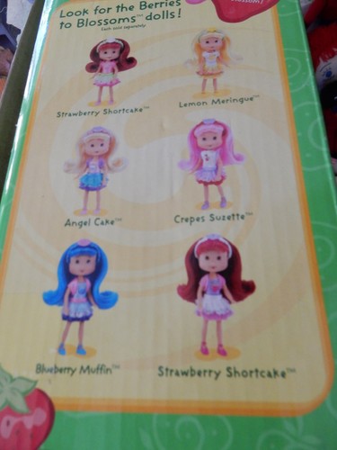 2007 Strawberry Shortcake Beauty To Berry Blossom PLay Set Great Gift New - Picture 8 of 9