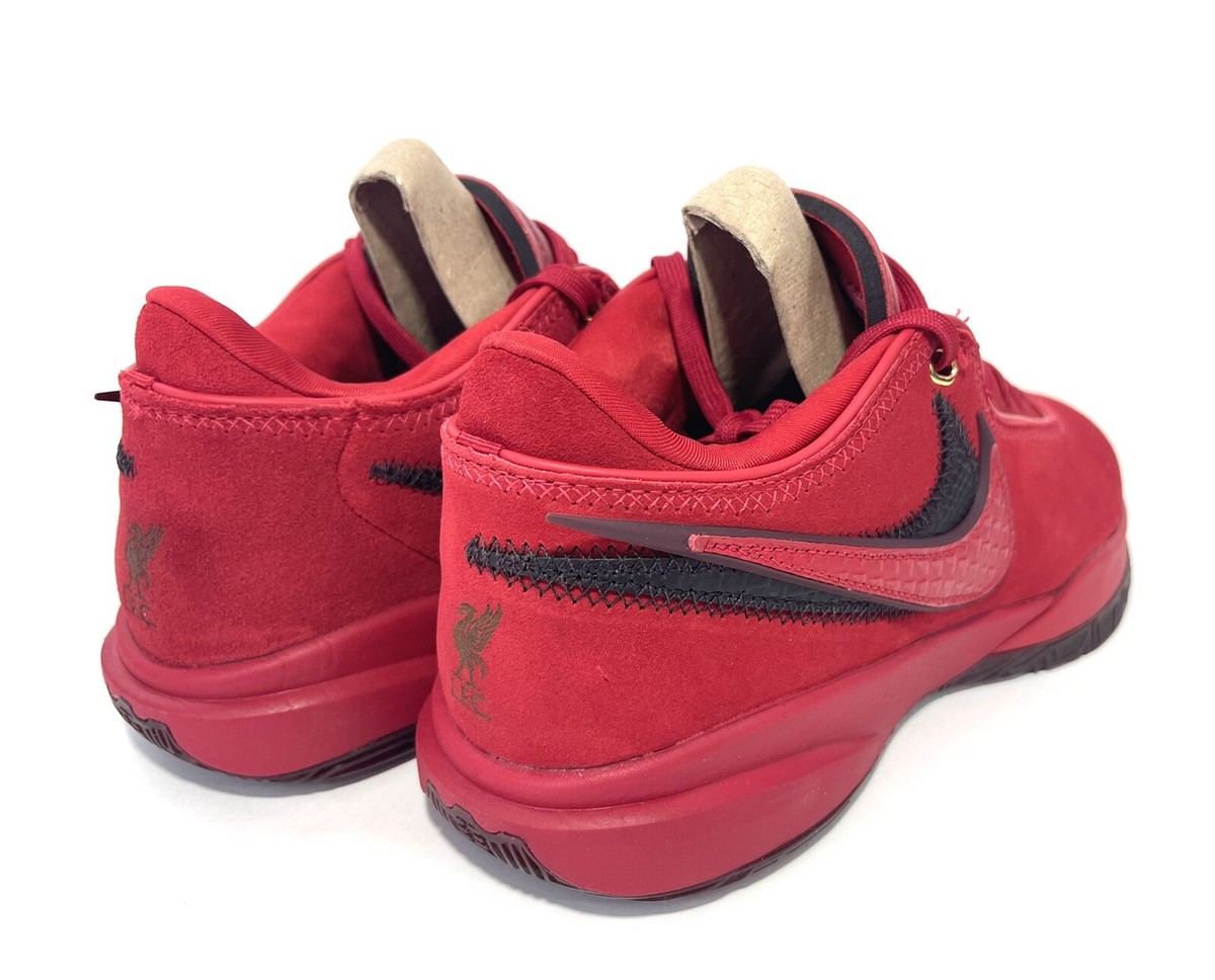 NIKE - 【希少】ナイキ レブロン XX EP &#39;LIVERPOOL FC&#39; 31cm NIKE LEBRON XX EP 