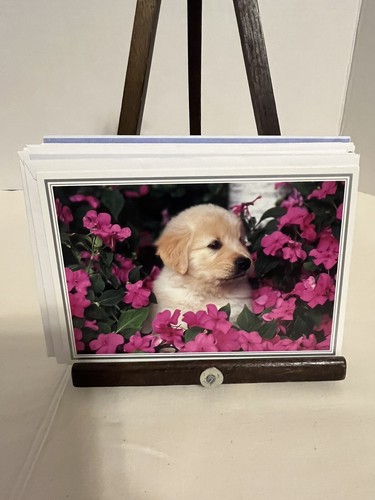 Cute Dogs/puppies Blank Greeting/note Cards With Envelopes 14 Different Cards A8 - Picture 14 of 18