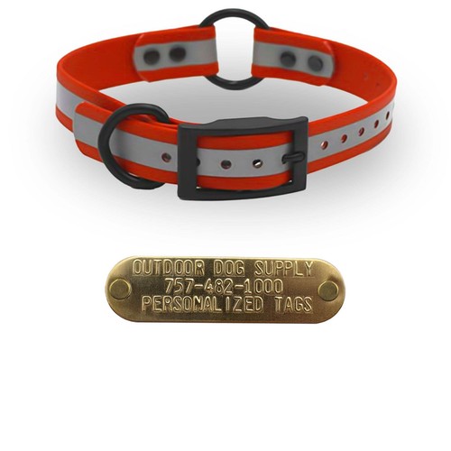 1" reflektierendes SoftFlex Beta Mittelring Hundehalsband mit Messing Namensschild - Bild 16 von 51