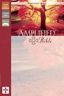 Amplified Bible, Imitation Leather, Pink/Purple by Zondervan Publishing (Leather / fine binding, 2011)