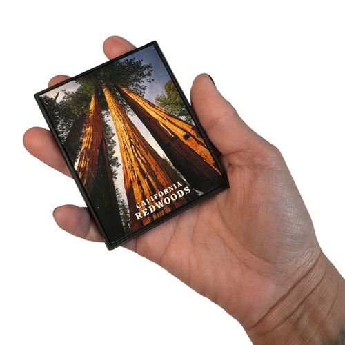 California Redwood Trees Magnet 2.5"x3" Fridge Souvenir Northern Bigfoot Collect - 第 3/3 張圖片