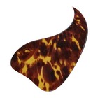 Bild 33 von 33