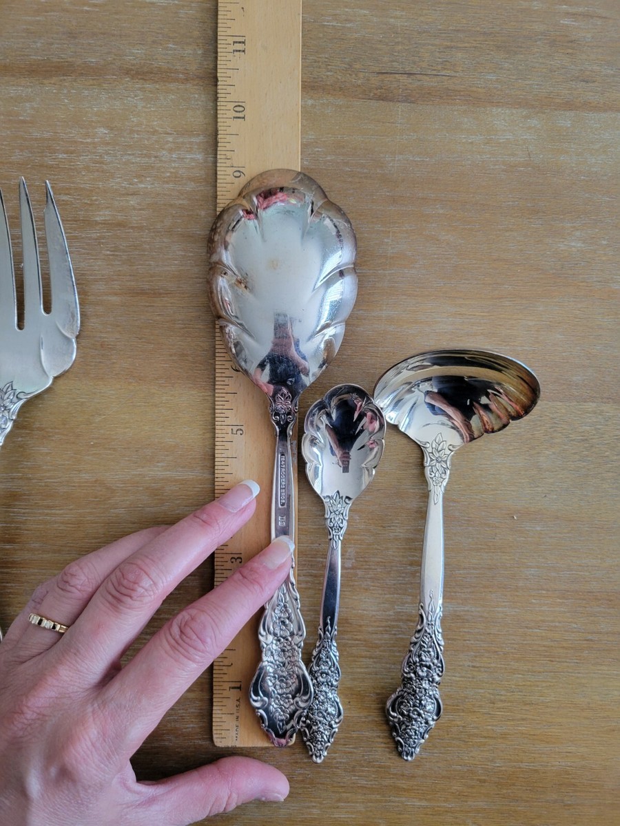 STUNNING Set 6 Vintage 1847 Rogers Bros RENAISSANCE Serving Spoon