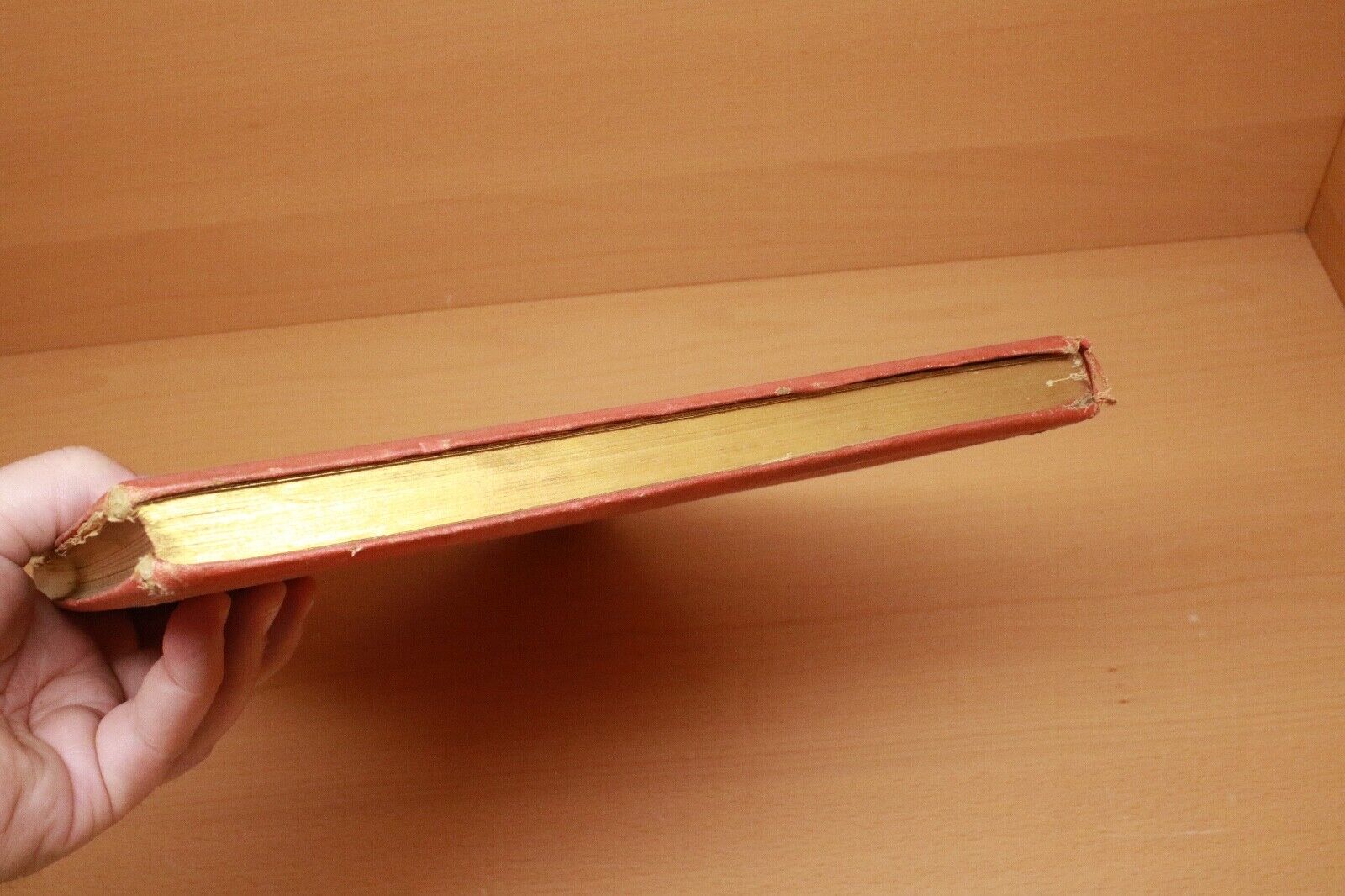 Foto 11 di 24