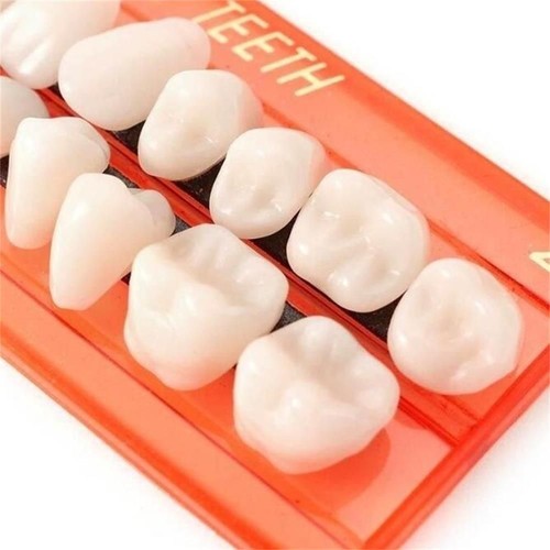 Resin Temporary Crown Simulation Teeth Teeth Veneers Tooth Tool Resin Acrylic - Picture 12 of 12