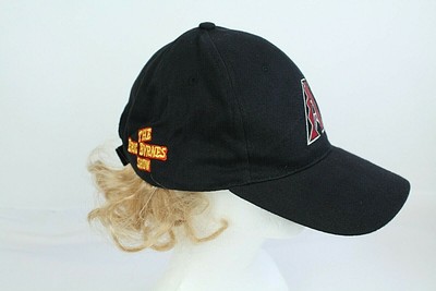 Arizona Diamondbacks Stadium Fan 