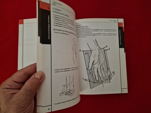 Basketball Arnaldo TAURISANO ** L’albero del basketball ** + CD Rom (S. 450 ) - Bild 18 von 21