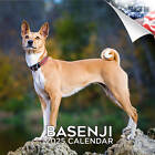 Basenji Dog Breed Calendar 2025 Full Size 12x24 Made in Usa