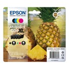 Epson Pineapple 604 Black Cyan Magenta Yellow High Capacity Ink Cartridge Multip