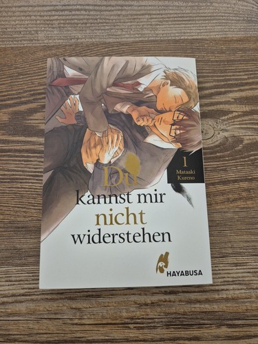 Du Kannst Mir Nicht Widerstehen 01 - Boyslove Manga