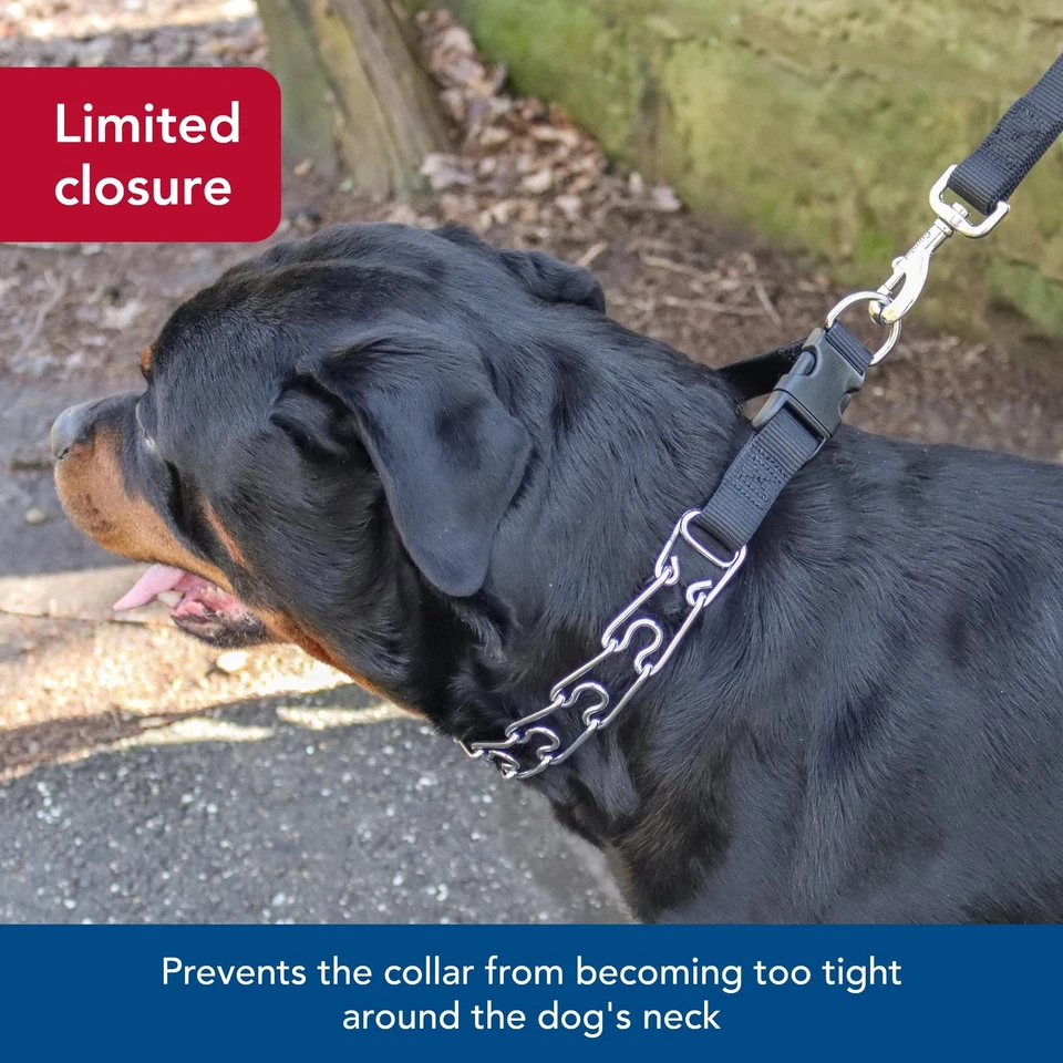 Collar de entrenamiento con puntas de perro fácil de poner Coastal Pet - Collar de metal duradero con lateral... Foto 4 de 4