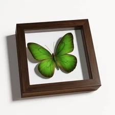 Cloisonne Enamel 3D Butterfly DIY Craft Kit, Art Projects Craft Supplies Fili...