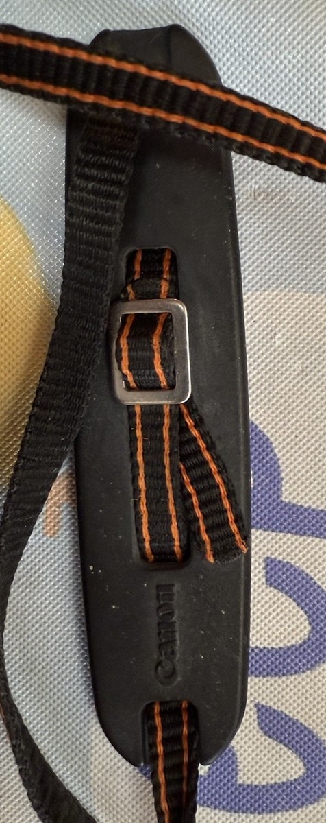 Buy Canon AF35M 35mm Point & Shoot Film Camera online | eBay