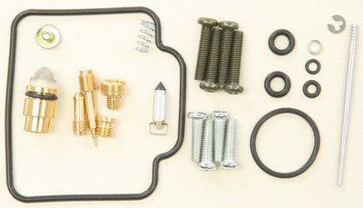 ALL BALLS A-ARM BEARING Kit 26-1098 226-1098 126-8098 134235 Rebuild Kit