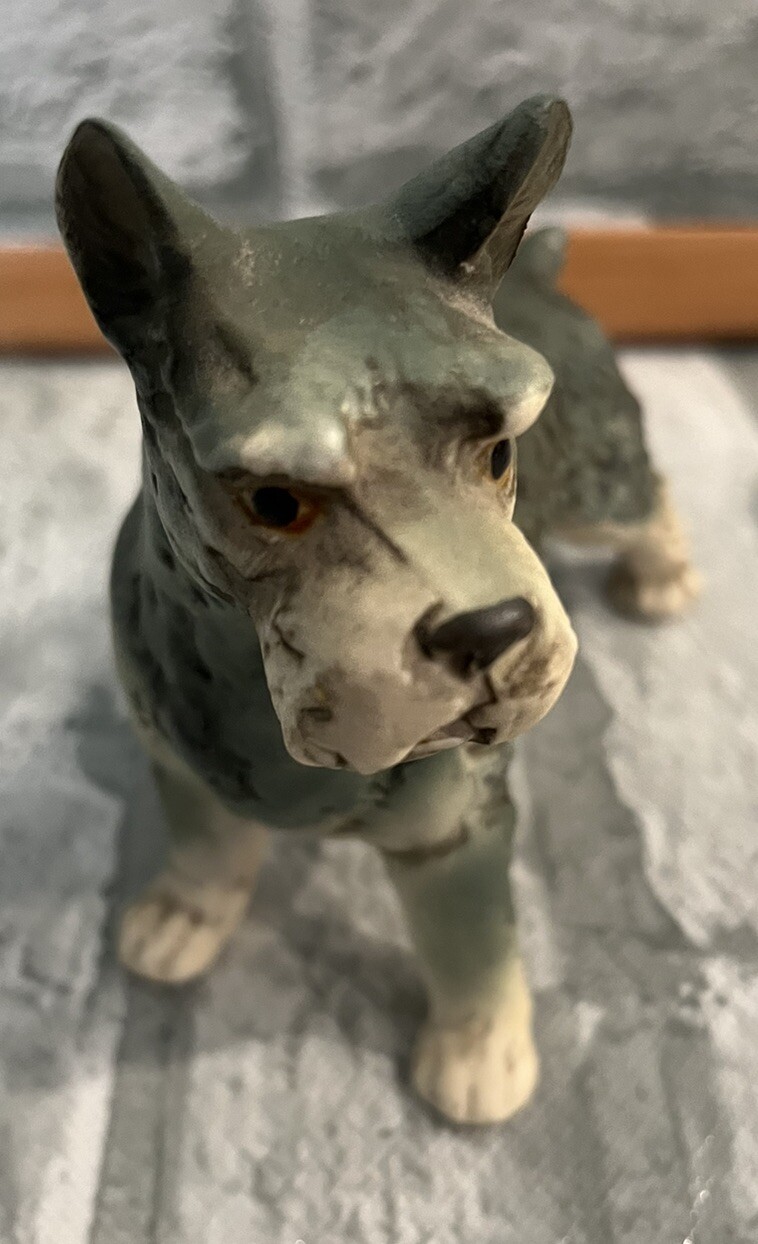 Picture 4 of 13