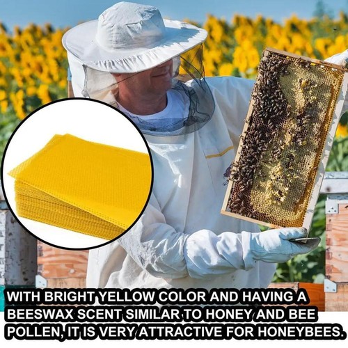 10X Beeswax Foundation Bee Hive Wax Frames Beekeeping Honeycomb Yellow2024 V2H6