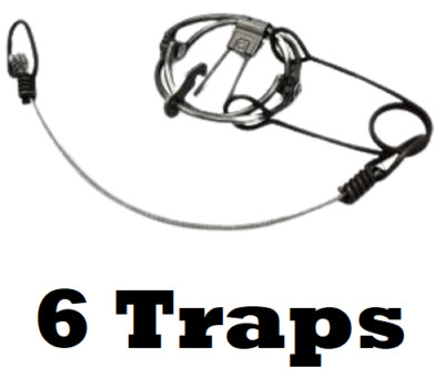 6 RBG #55 3.5 Body Grip Trap Single Spring Rat Trap Trapping Supplies 6 Traps