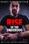Rise of the Underdog: My Life Inside Football by Danny Higginbotham.